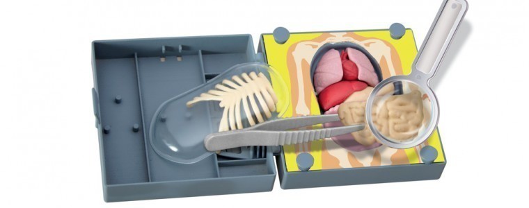 juegos de biología
